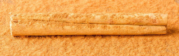 Cinnamon stick isolated
