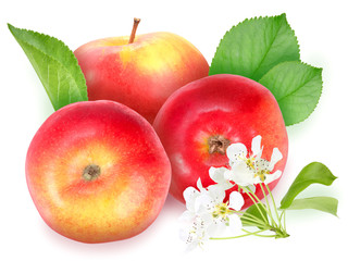 Red apples with green leaf and flowers