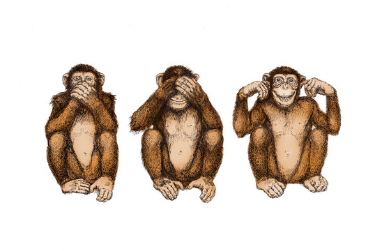 drei Affen (nichts sehen, hören, sagen)
