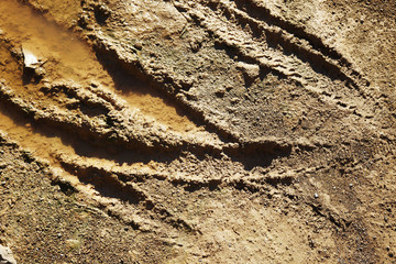 Mountain Bike Tracks in Mud Background