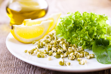 germinating seed mung