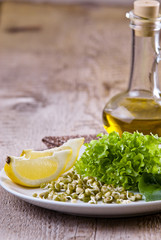 germinating seed mung