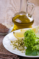 germinating seed mung