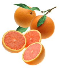 two whole oranges and three half isolated