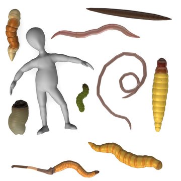 3d render of cartoon character with worm