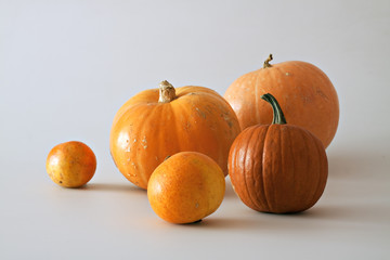 Set of pumpkins on white.