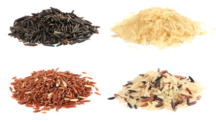 Various kinds of rice on white background