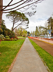 walkway in the park