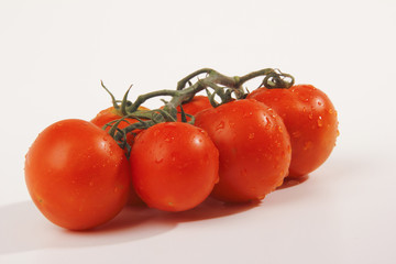 pomodori