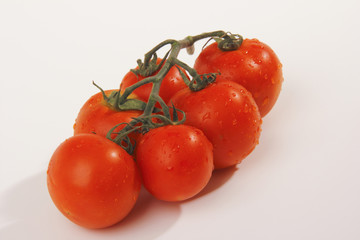 pomodori