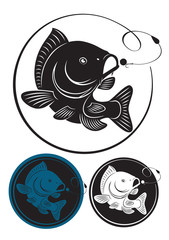 the figure shows the carp fish