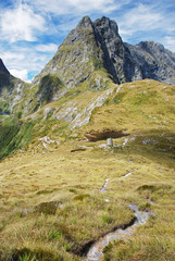 Mackinnon Pass, Milford track