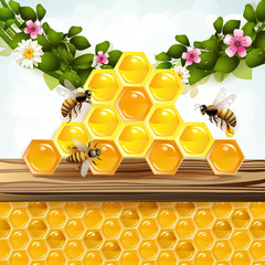 Bees and honeycombs with floral background