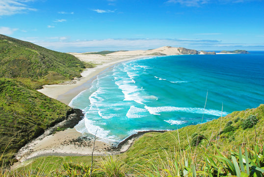 Beach at Cape Reigna, New Zealand