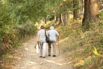Seniors walking in park