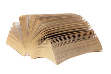 Paperback Novel