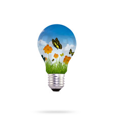 Light bulb and fresh spring green grass with butterfly
