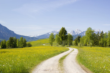 Fototapeta na wymiar piękne panoramy w Alpach w Niemczech