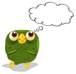 Owl thinking