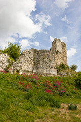 Fototapeta na wymiar Richard Lion Heart Castle ruins