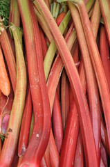 Rhabarber