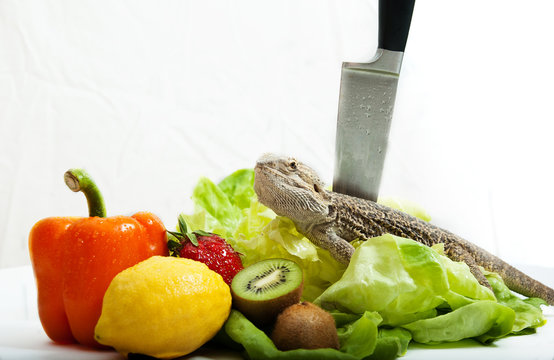 Bartagame mit Obst, Gem&uuml;se und Messer