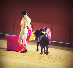 Torero with bull in the bullfighting arena in Spain