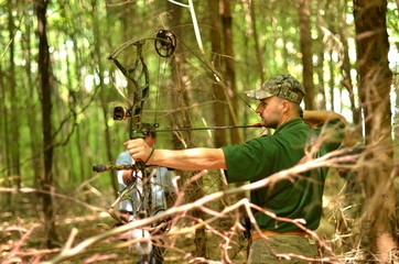 chasse à l'arc