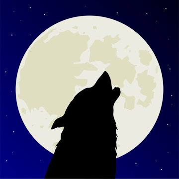 Werewolf or wolf howls on full Moon
