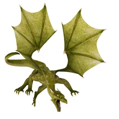 Papier Peint photo Lavable Dragons dragon vert en attaque