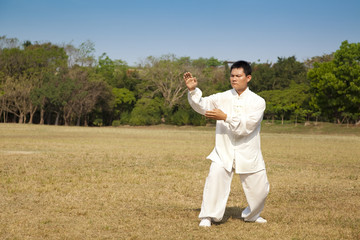 kung fu man