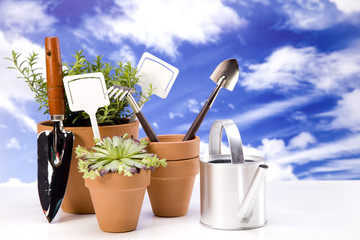 Flowers and garden tools on sky background