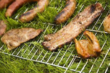 Grilled meat on grass