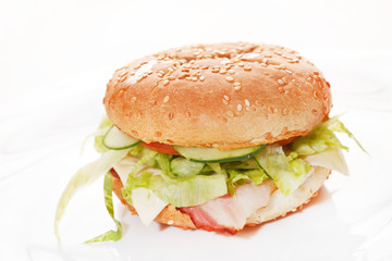 burger on the white
