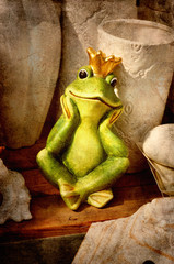 Frog prince