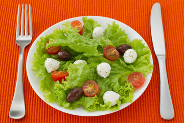 salad with cheese mozzarella on the plate