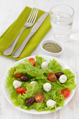 salad with cheese mozzarella on the plate