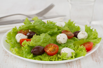 salad with cheese mozzarella on the plate