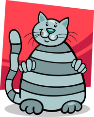 grey tabby cat