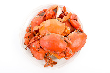 Steamed crabs on white plate