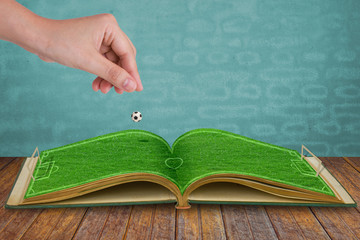 Hand drop football down to green grass  book of soccer stadium