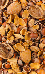 Combustibile misto naturale