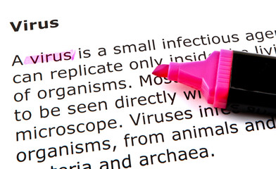 Text highlighted with felt tip pen