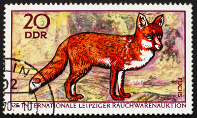 Postage stamp GDR 1970 Red Fox, Vulpes Vulpes