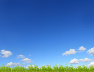 Fototapeta na wymiar sky sun and grass background