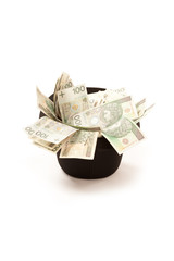 Paper money from poland to use in business