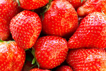 Beautiful strawberries close up