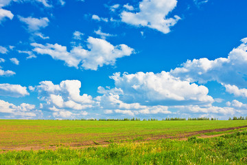 Fototapeta premium Blue sky over the plain