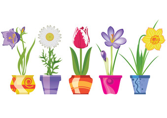 Spring Flowers In Pots, Isolated On White Background, Vector Ill