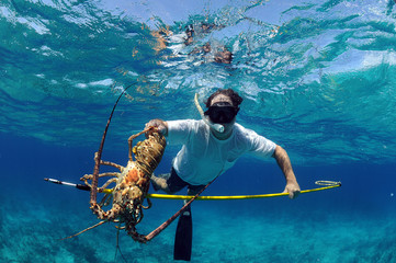 Spearfishing for lobster